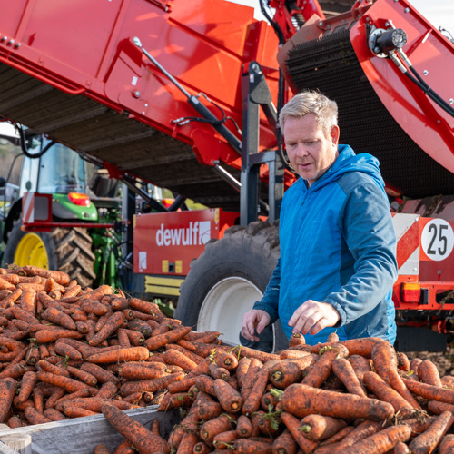 Gulrotbonde i Brunlanes