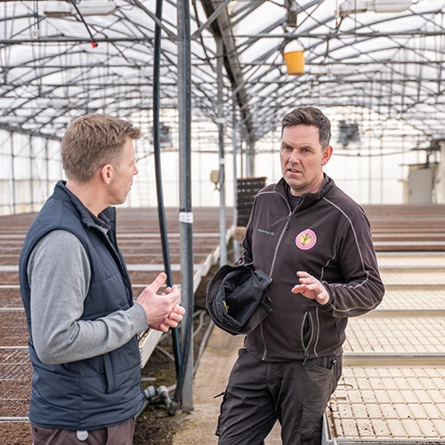 Bernt Freberg i veksthus på Nøtterøy
