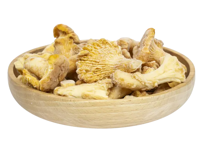 Kantarell fra Norrek